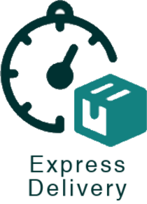 Express delivery icon